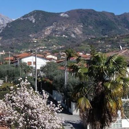House Versilia Luca E Giada, 5 Chilometri Da Forte Dei Marmi! Экстерьер фото